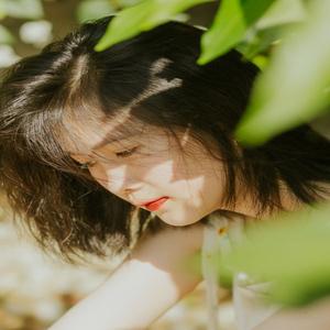 师美山