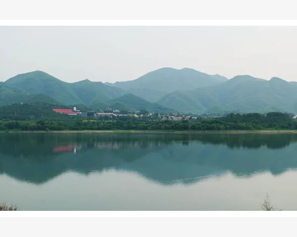 夏至养生，享受自然气息，聚焦中医养生智慧