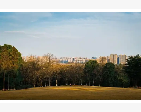 夏至养生，享受自然之恩